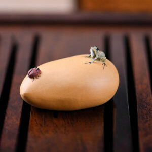 Frog Tea Pet