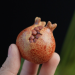 Pomegranate Tea Pet