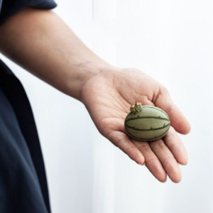 Watermelon Frog Tea Pet
