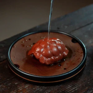 handmade purple clay turtle shell tea pet chinese good luck tea table decor front view