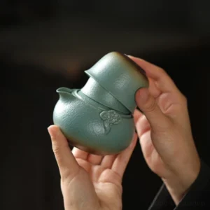 portable ceramic kung fu travel tea set 1 pot 2 cups with carrying case full view