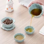 portable ceramic travel tea set complete with gaiwan teacups and carry bag
