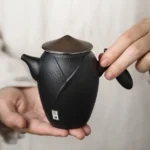 Wandering Hero Chinese black ceramic side handle teapot full view